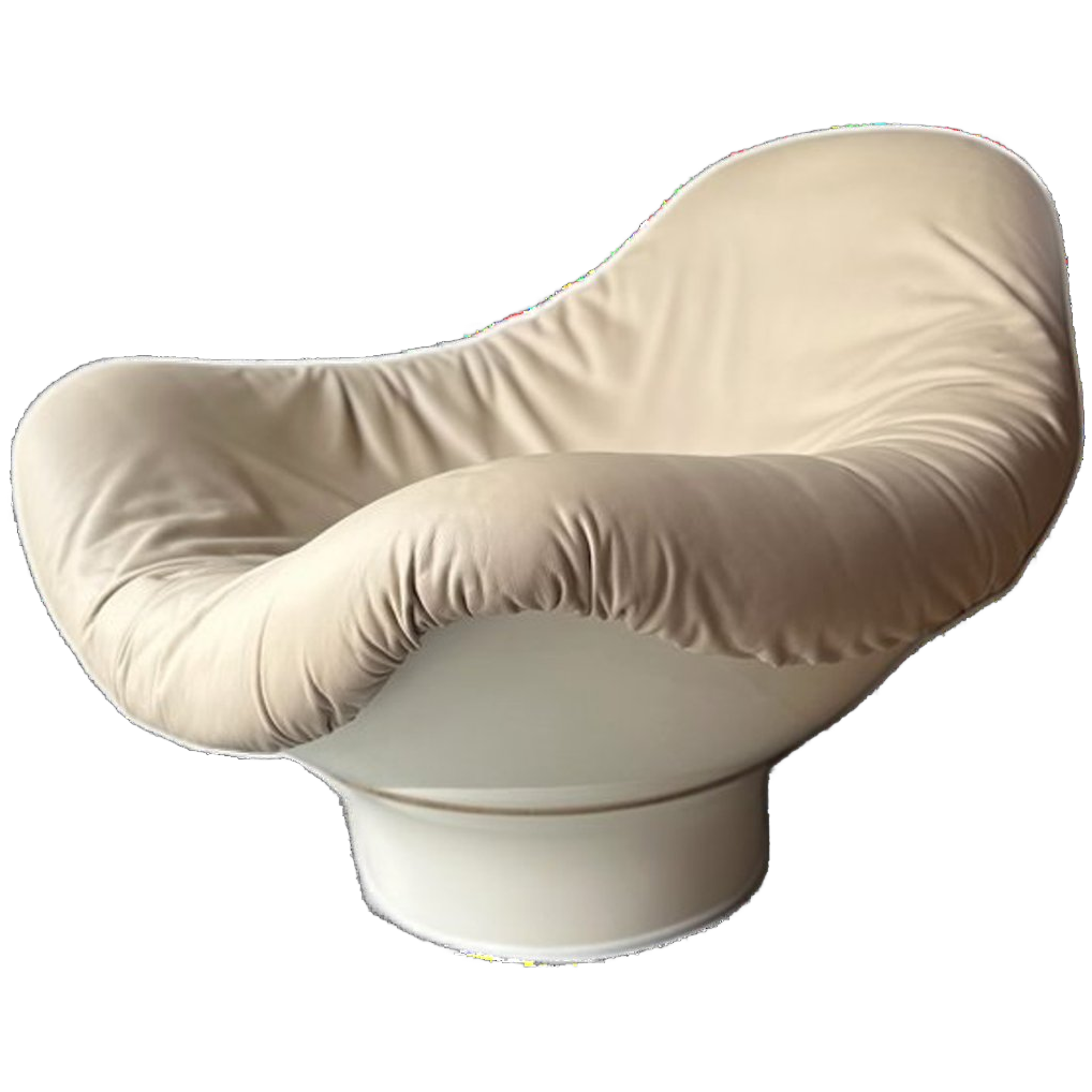 Originele Rodica-chair Van Mario Brunu Uit Jaren ‘60 image 1