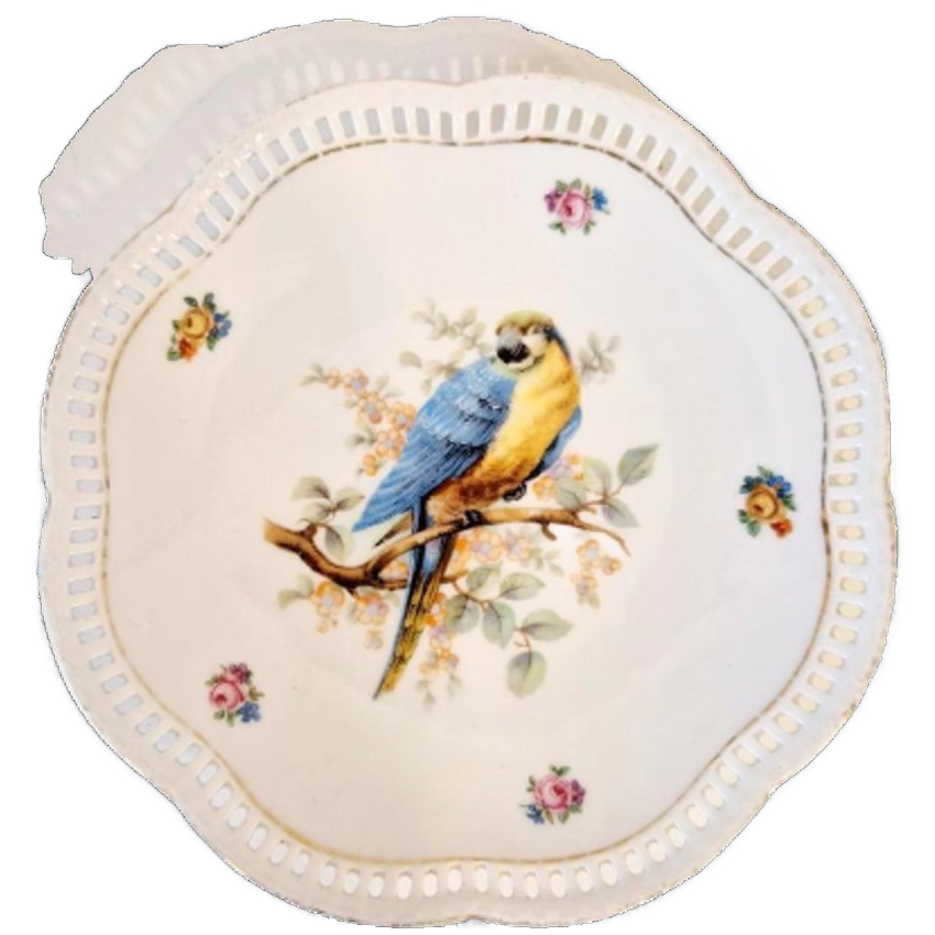 Vintage Wandbord Met Papegaai Vogel image 1
