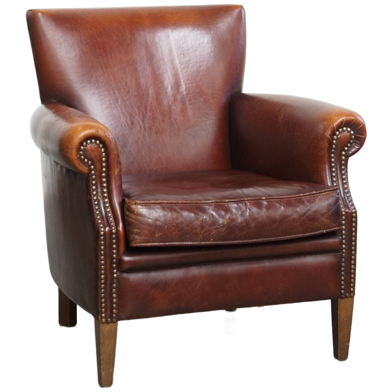 Karkatervolle Vintage Schapenleren Armchair/ Fauteuil Met Warme Kleuren En Een Mooi Patina image 1