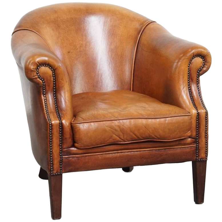 Charmante En Comfortabele Schapenleren Clubfauteuil Met Prachtige Kleuren image 1