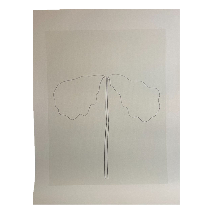Ellsworth Kelly (1923-2015), Chêne, 1964 image 1
