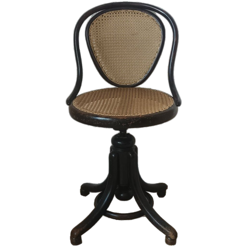 Thonet Music Chair N°5101 image 1
