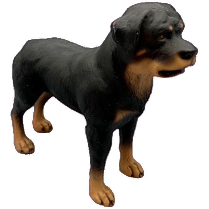 Vintage Beeld Rottweiler Handbeschilderd Italië image 1