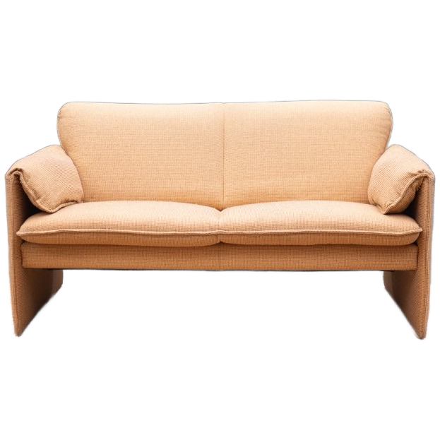 Leolux Bora Bora | 2-zits Design Bank | Design Sofa image 1