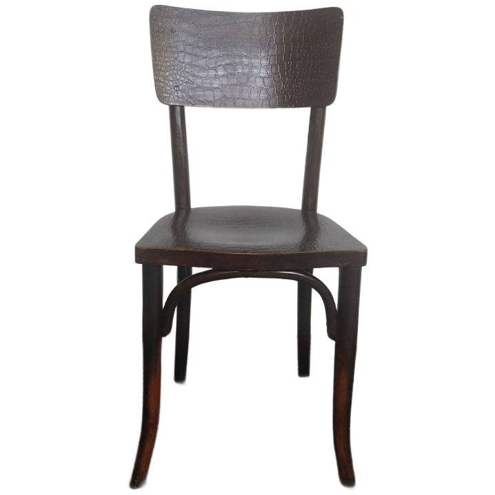 Thonet Stoel Met Krokodil Print image 1