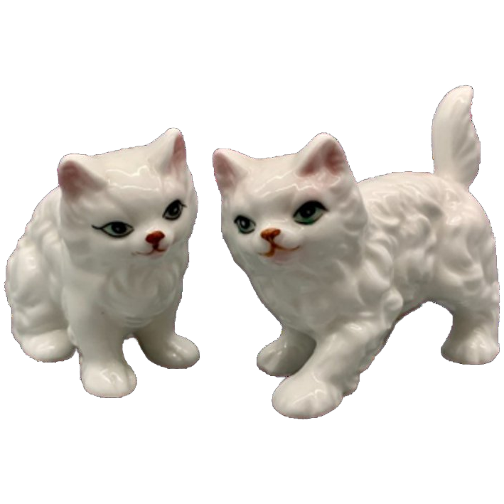 Vintage Bone China Katjes Wit Set Van 2 image 1