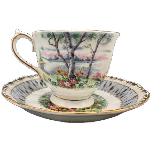 Set Royal Albert Silver Birch Dames En Heren Kop En Schotel image 1