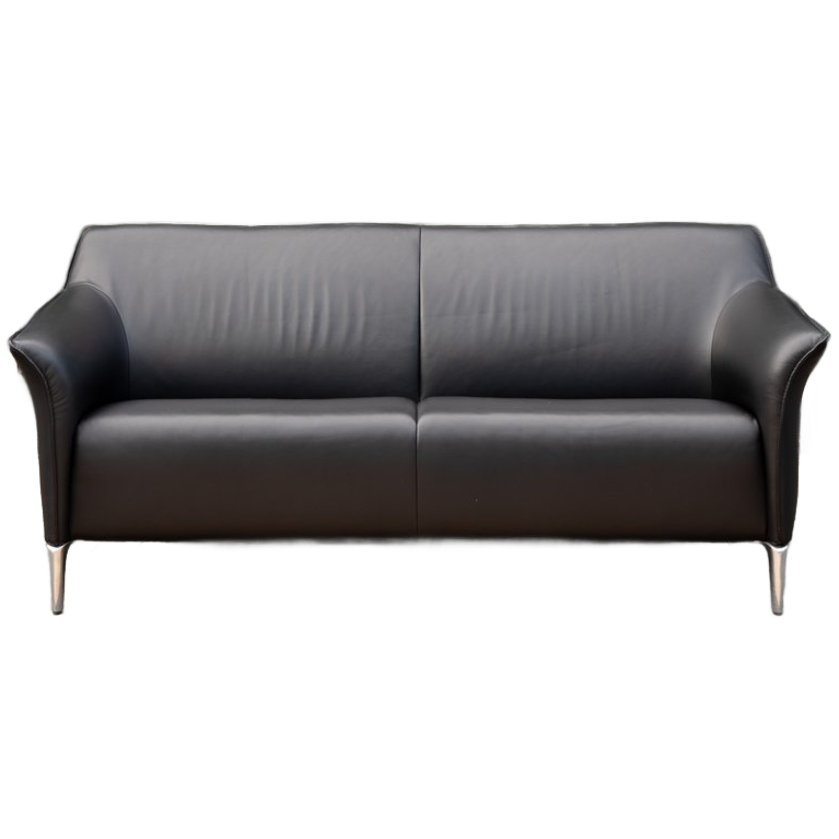 Leolux Mayon | 2,5-zits Leren Design Bank | Zwart image 1