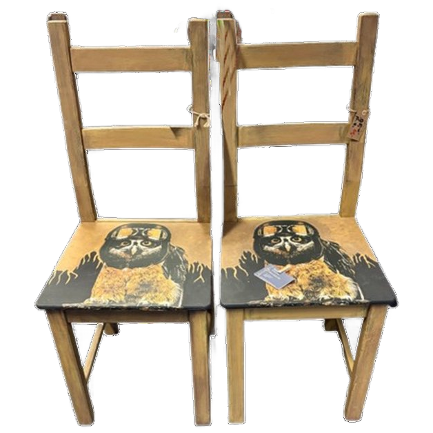 2 Stoelen Met Stoere Uil image 1