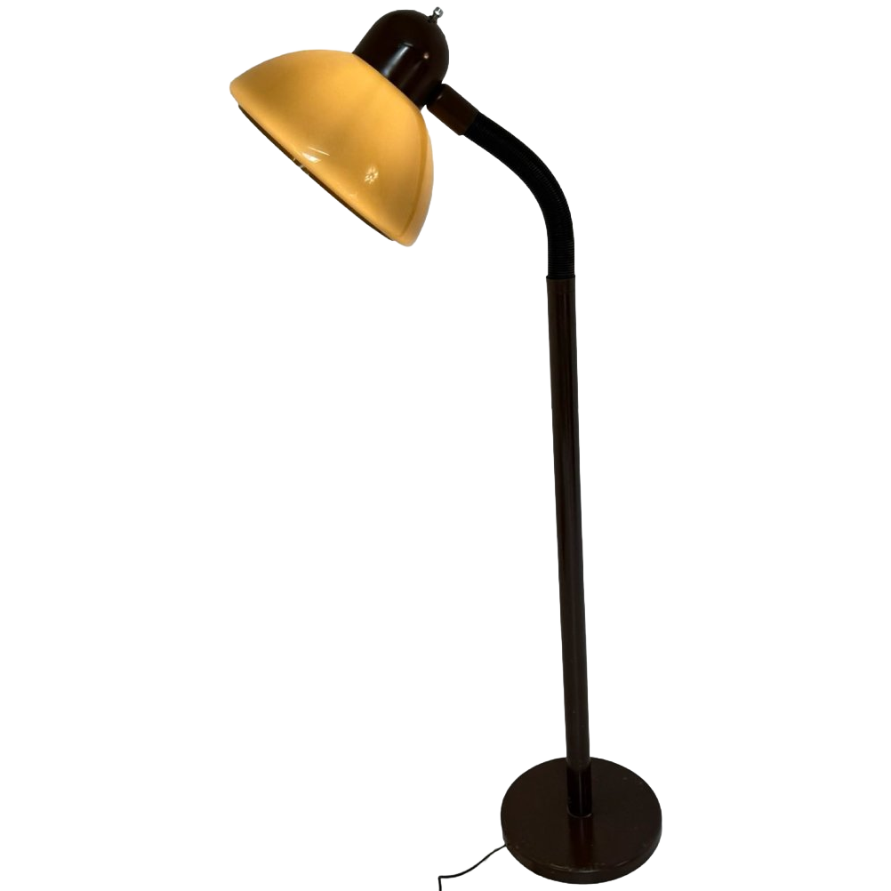 Dijkstra - Rare Model - Space Age Design / Mcm Floor Lamp With Gooseneck image 1