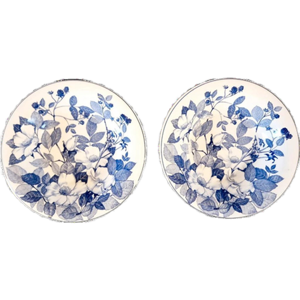 2 Vintage Diepe Borden Italiaans Porselein image 1