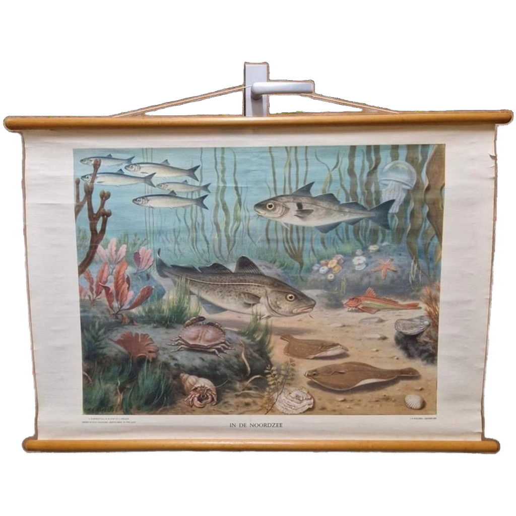 Wandposter Antieke Schoolplaat Schoolkaart Noordzee Wolters image 1