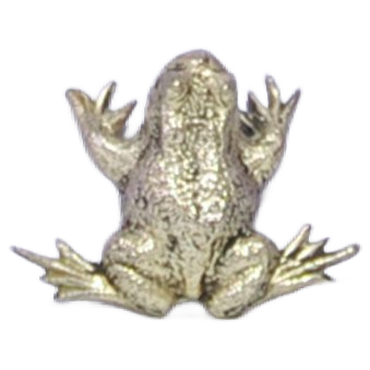 Zilveren Kikker Beeldje image 1