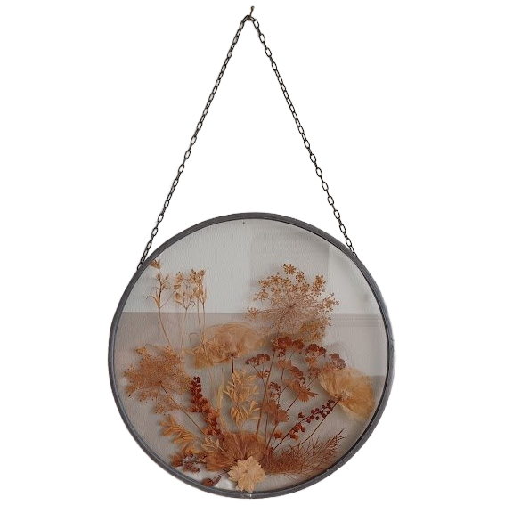 Vintage '70, Botanische Glaskunst. Gedroogde Bloemen En Planten. image 1