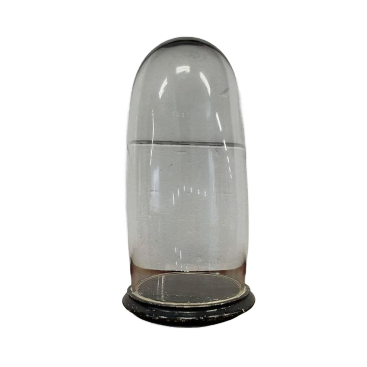 Antieke Glazen Stolp / Hoge Ronde Stolp image 1