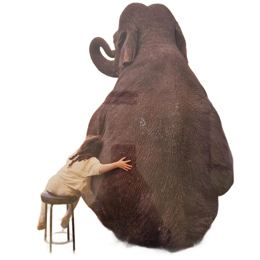 Jaren 70 Vintage Poster In Lijst Olifant Schilderij image 1