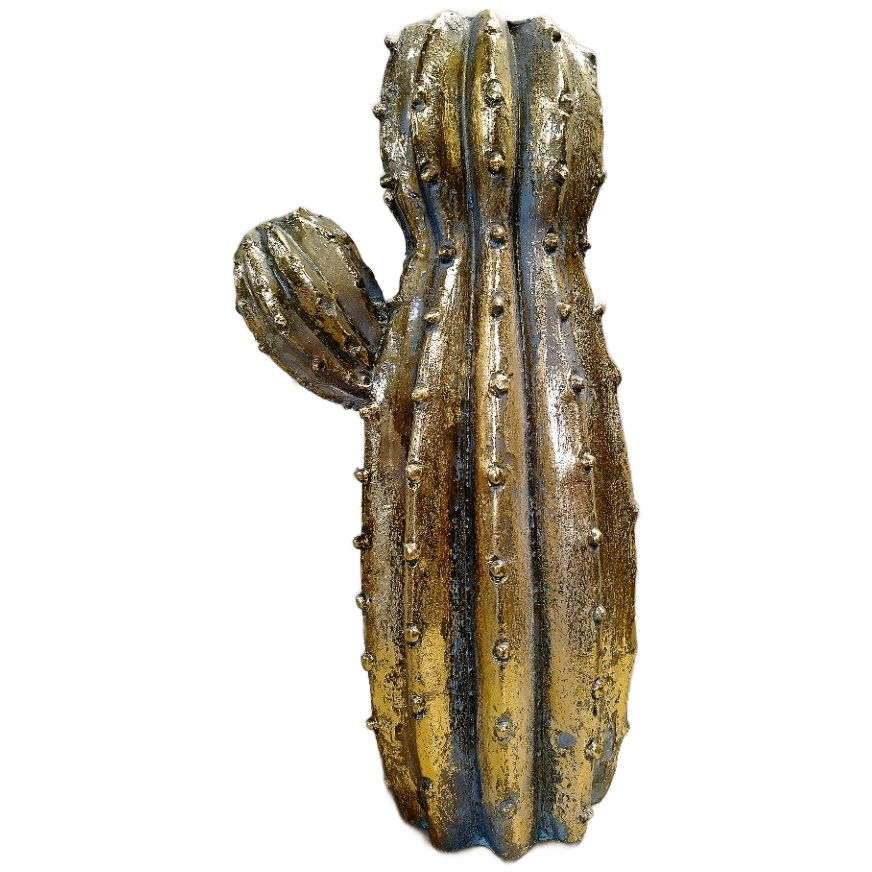 Cactus Vaas image 1
