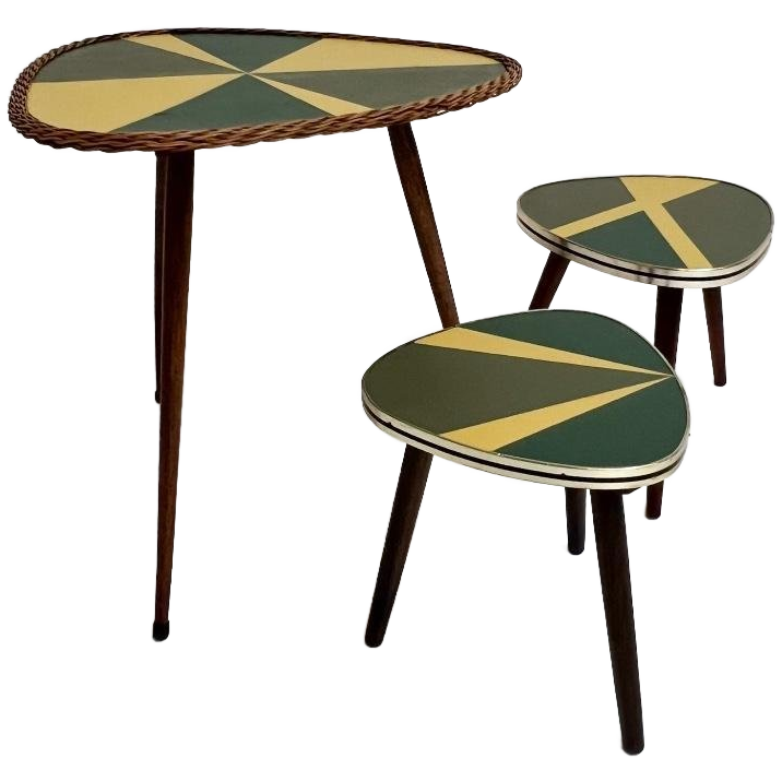 Set Van 3 Gerestaureerde Plantentafels Uit Frankrijk, 1960's image 1