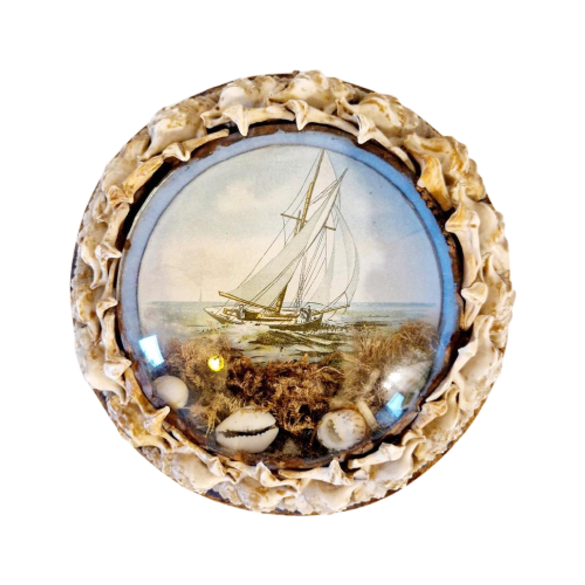 Antiek Bolglas Lijstje Maritiem Schelpen Schilderijtje image 1