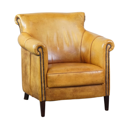 Gezellige, Comfortabele Rundleren Fauteuil/armchair In Een Unieke Kleur image 1