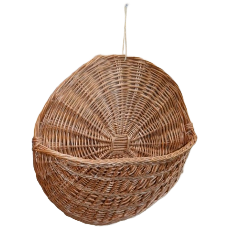 Ruif Van Wilgentenen Voor Aan De Wand image 1