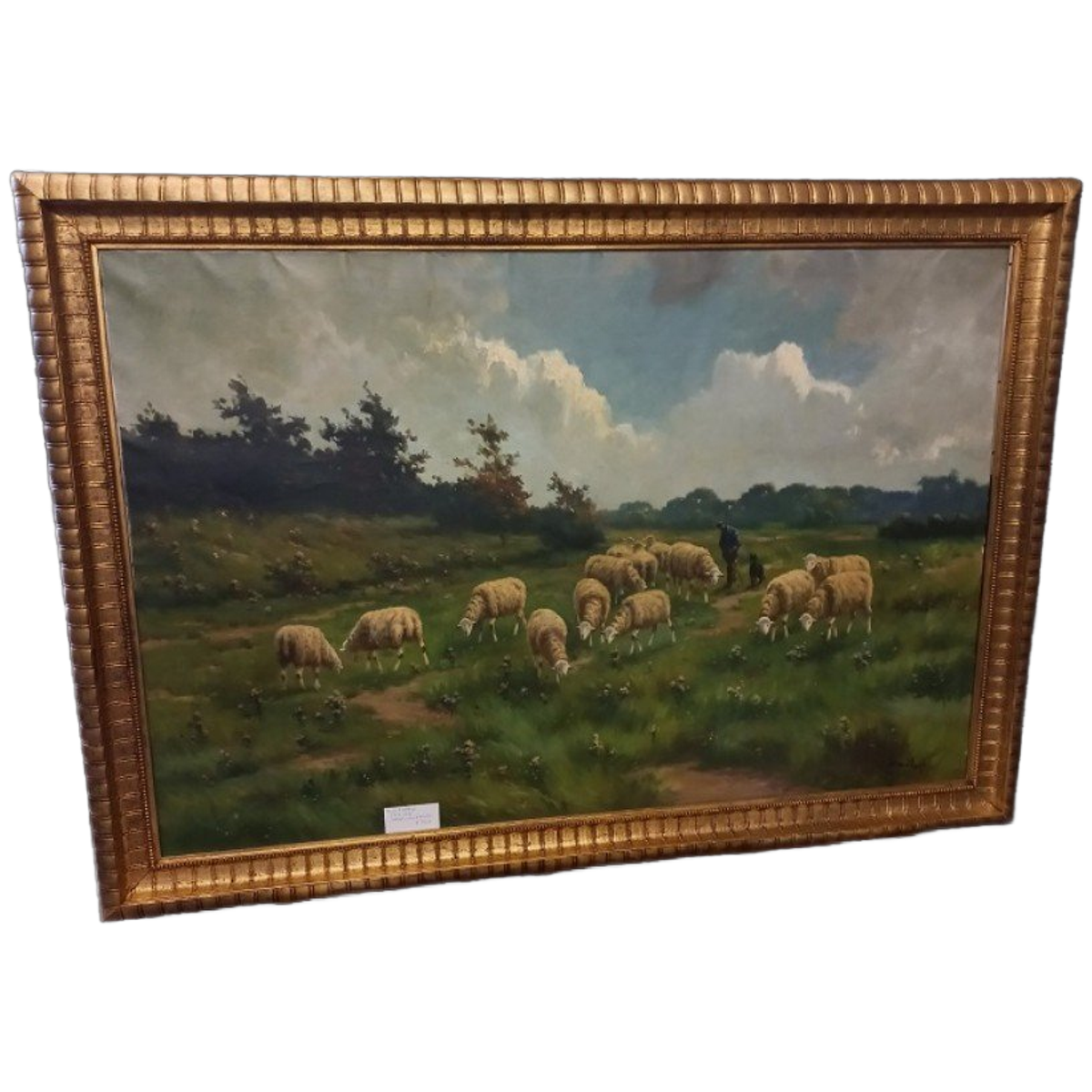 Henri Matthijs (xix-xx) Schapen Met Herder image 1