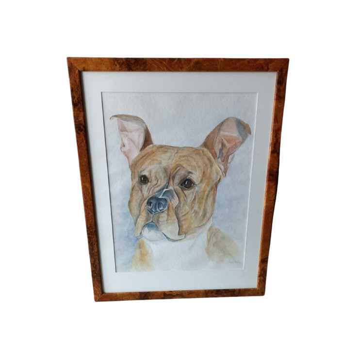 Aquarel J. Van Roey "hond". image 1