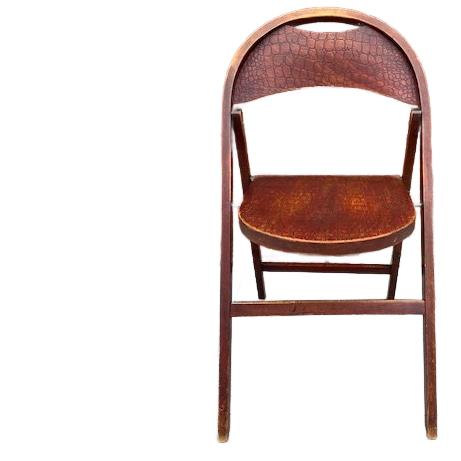 Thonet Cosmos B751 Klapstoel. Zeldzaam Krokodillenreliëf. image 1