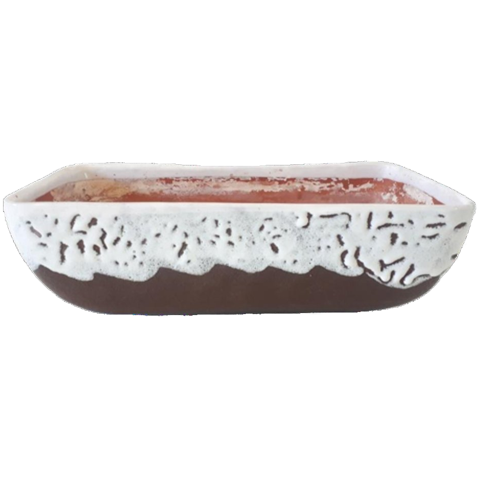Xxl Cactus Pot Bonsai Pot Lava Keramiek Schaal Jaren 50 image 1