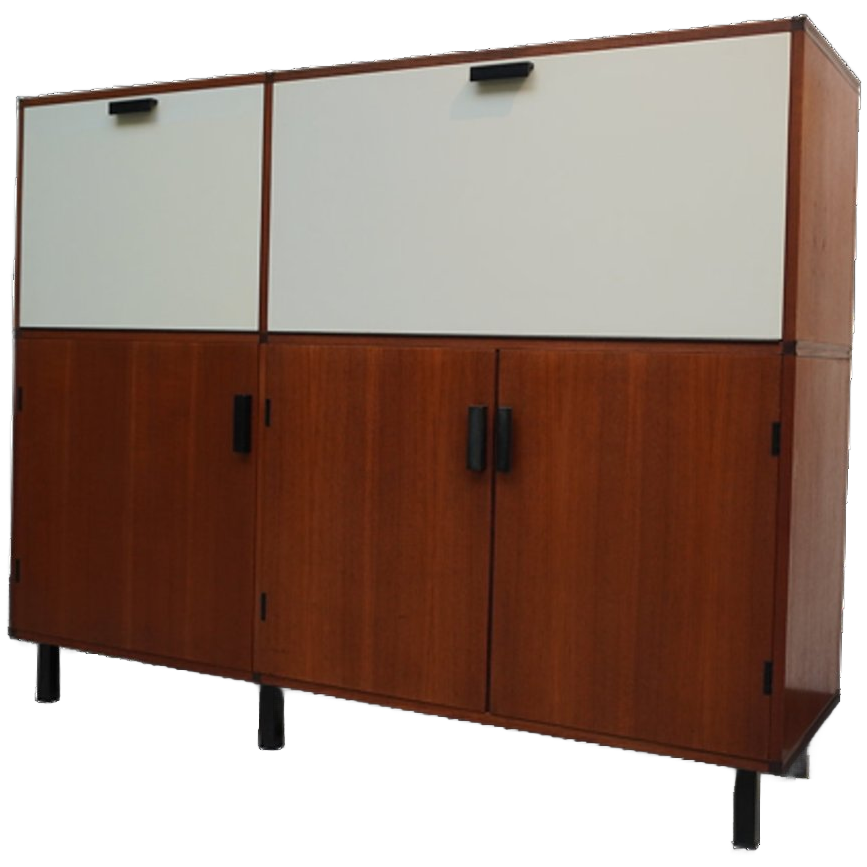 Cabinet Made To Measure By Cees Braakman For Pastoe, 1960s image 1
