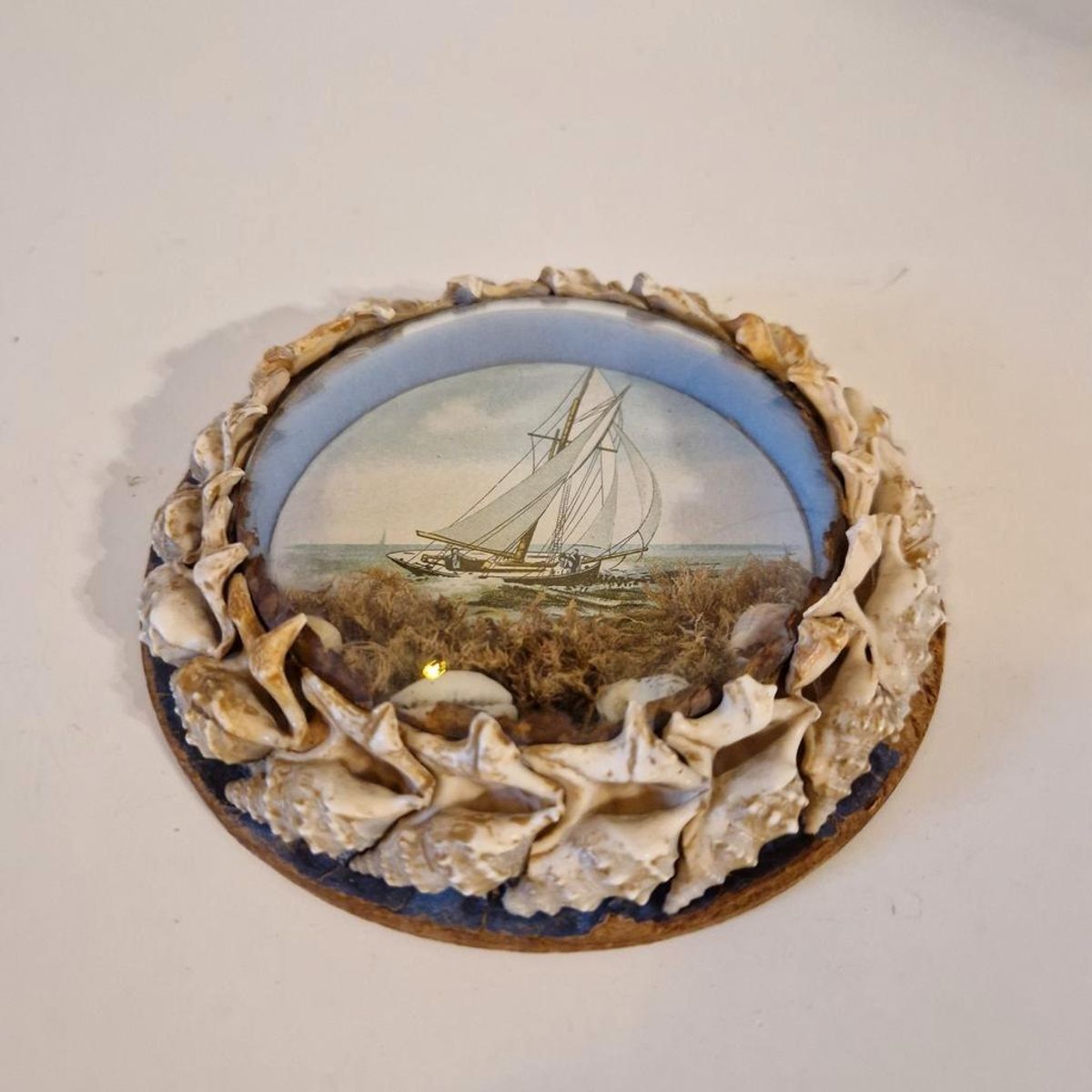Antiek Bolglas Lijstje Maritiem Schelpen Schilderijtje image 3