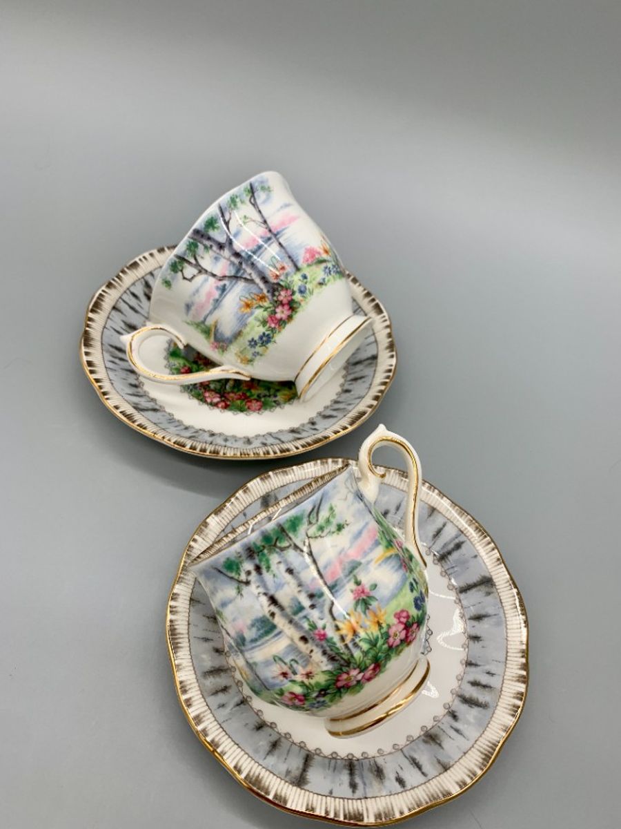 Set Royal Albert Silver Birch Dames En Heren Kop En Schotel image 9