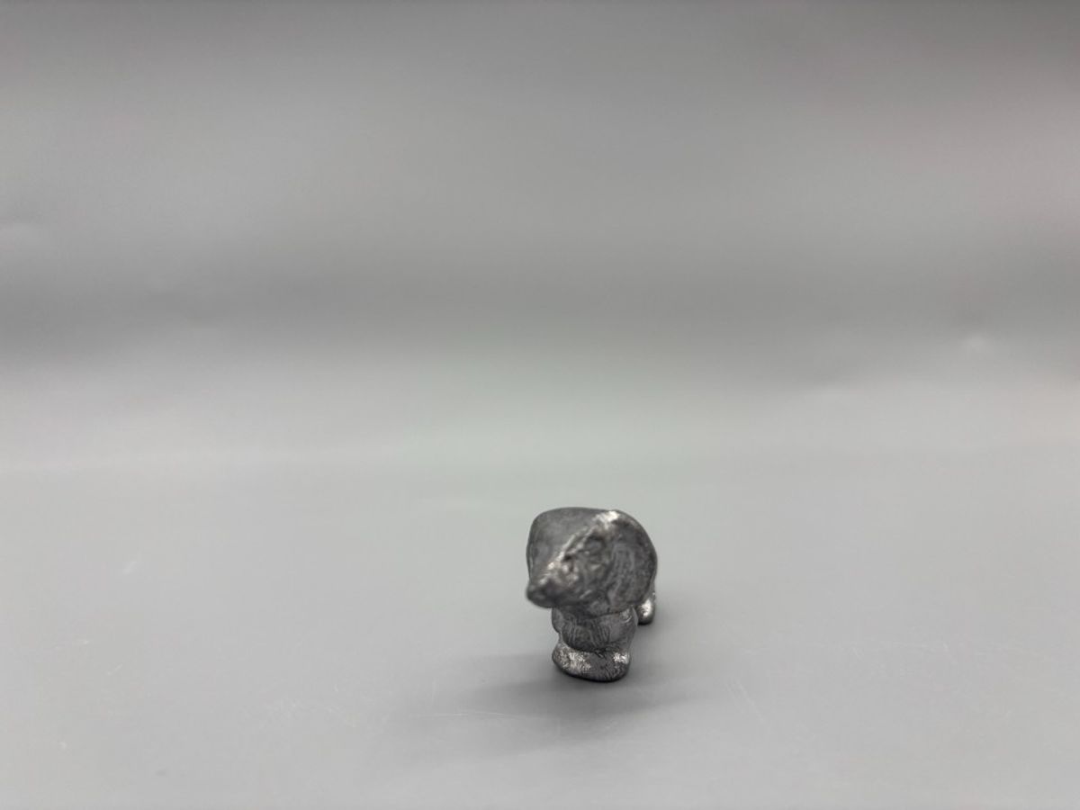Miniatuur Teckel Zilverkleurig 4 image 3