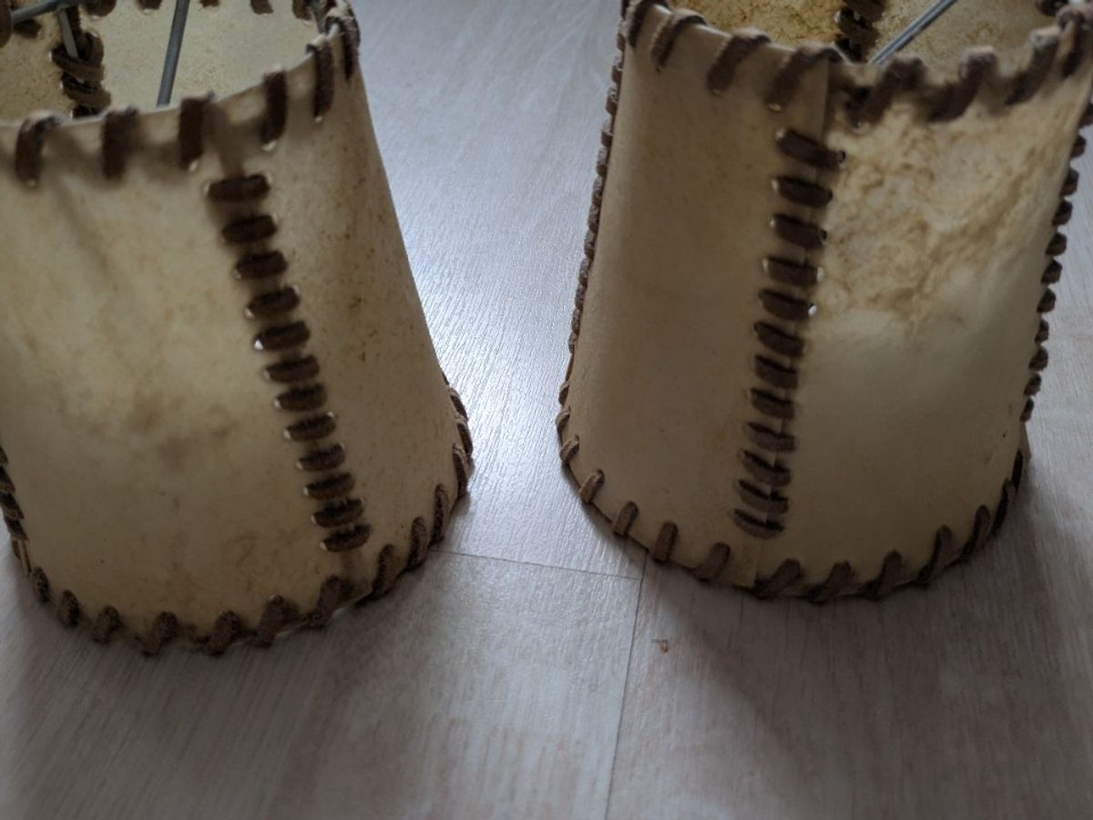 Lampenkapjes Van Varkensblaas image 2