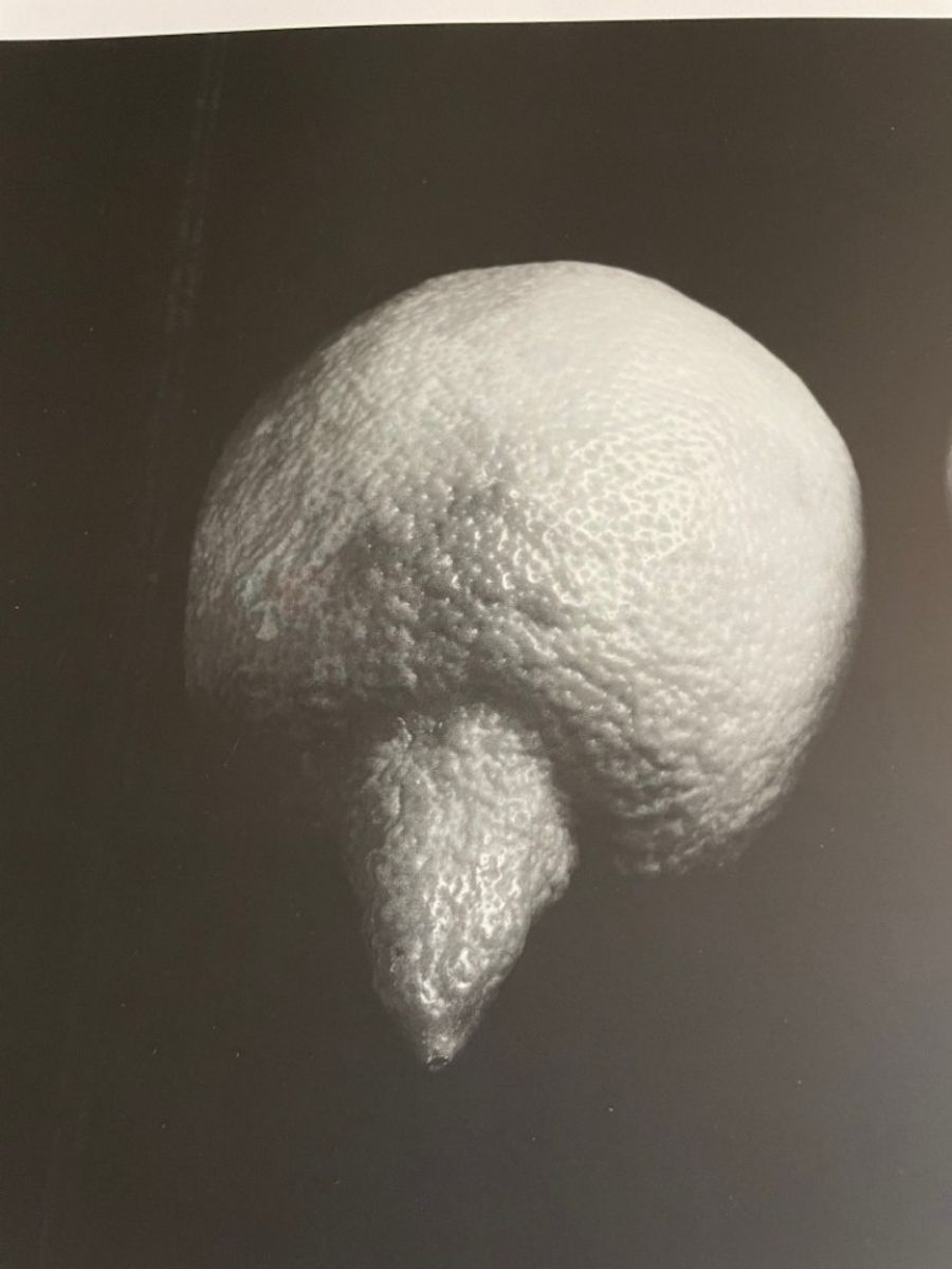 Sabine Kacunko, Out Of Sight I,2000 image 7
