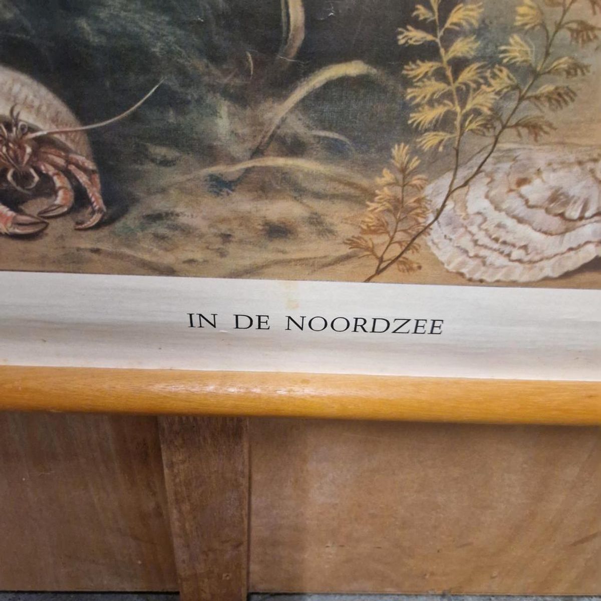 Wandposter Antieke Schoolplaat Schoolkaart Noordzee Wolters image 5