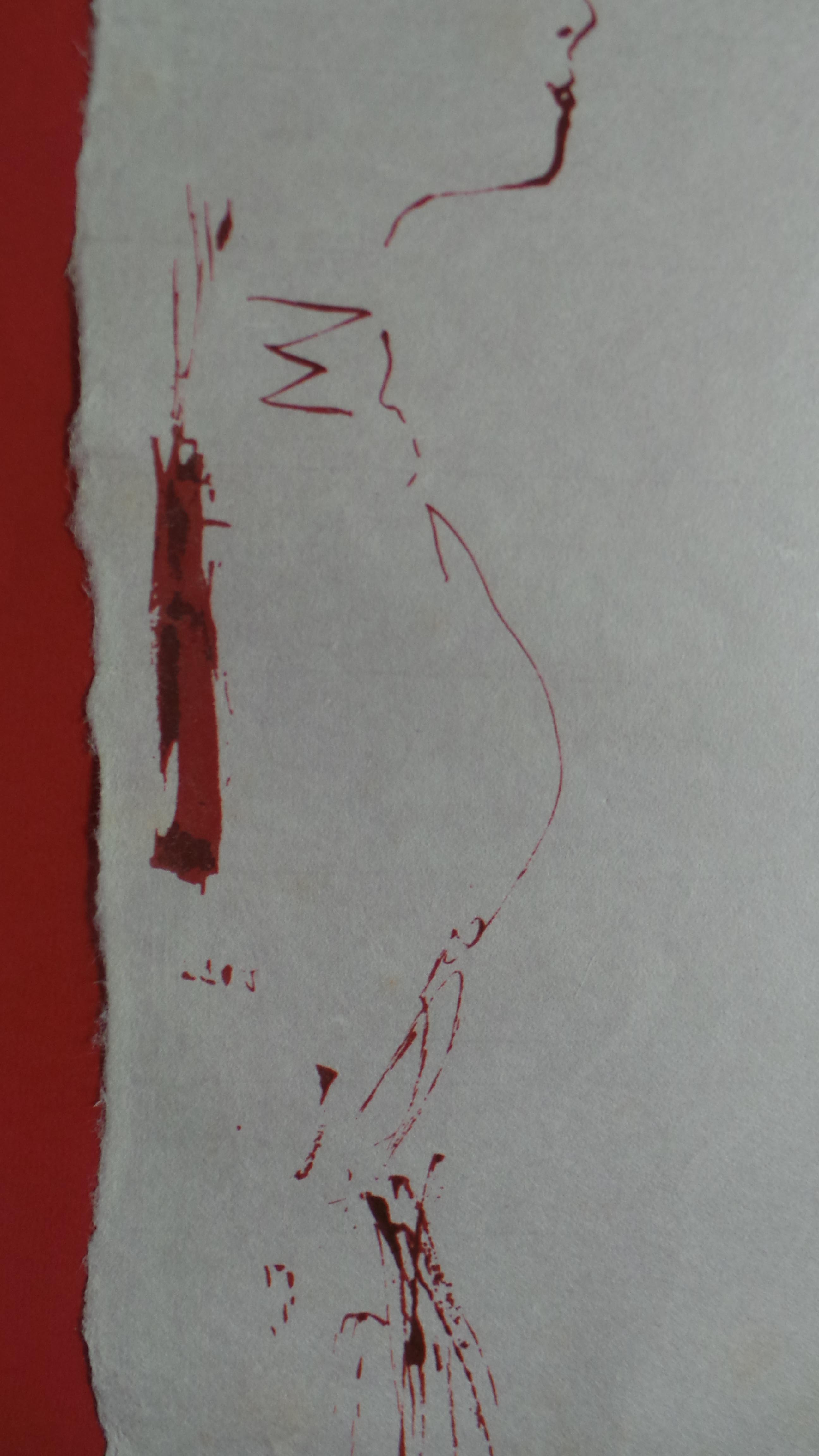 Picador image 14