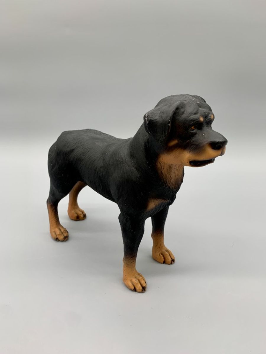Vintage Beeld Rottweiler Handbeschilderd Italië image 3