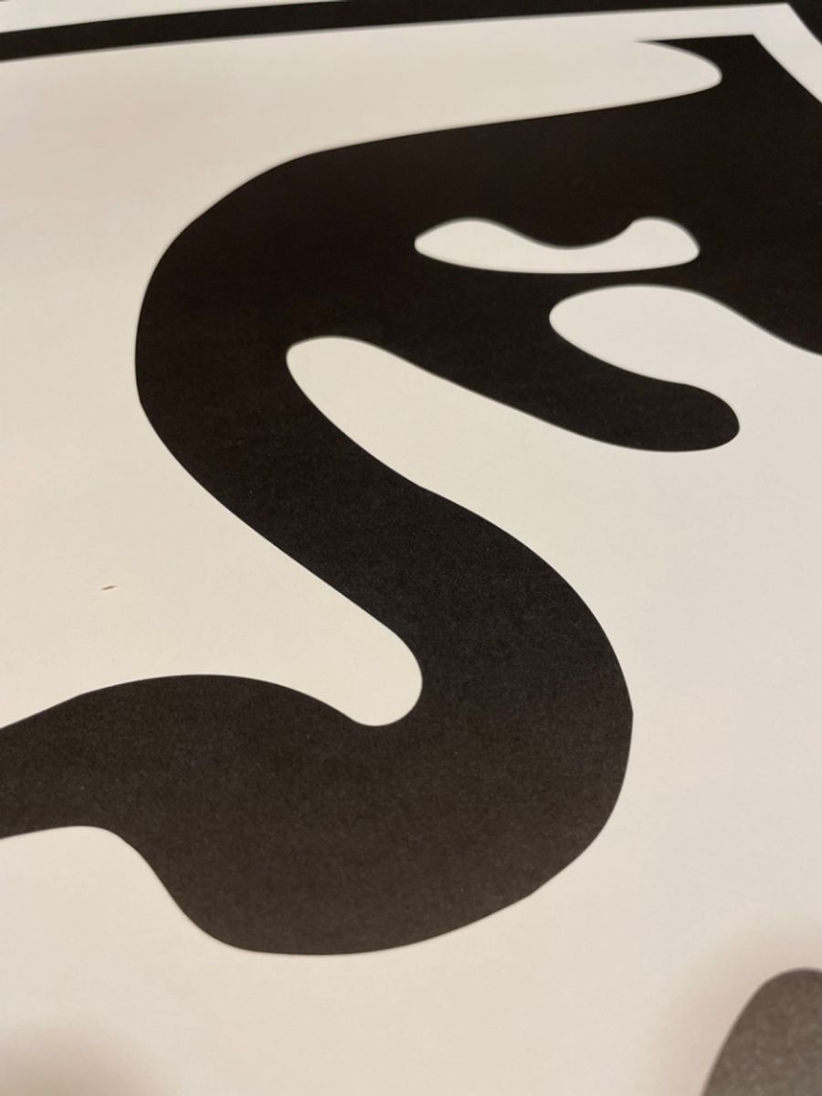 Shepard Fairey Obey Amsterdam Icon Xxx, Signed And Dated By Artist image 10