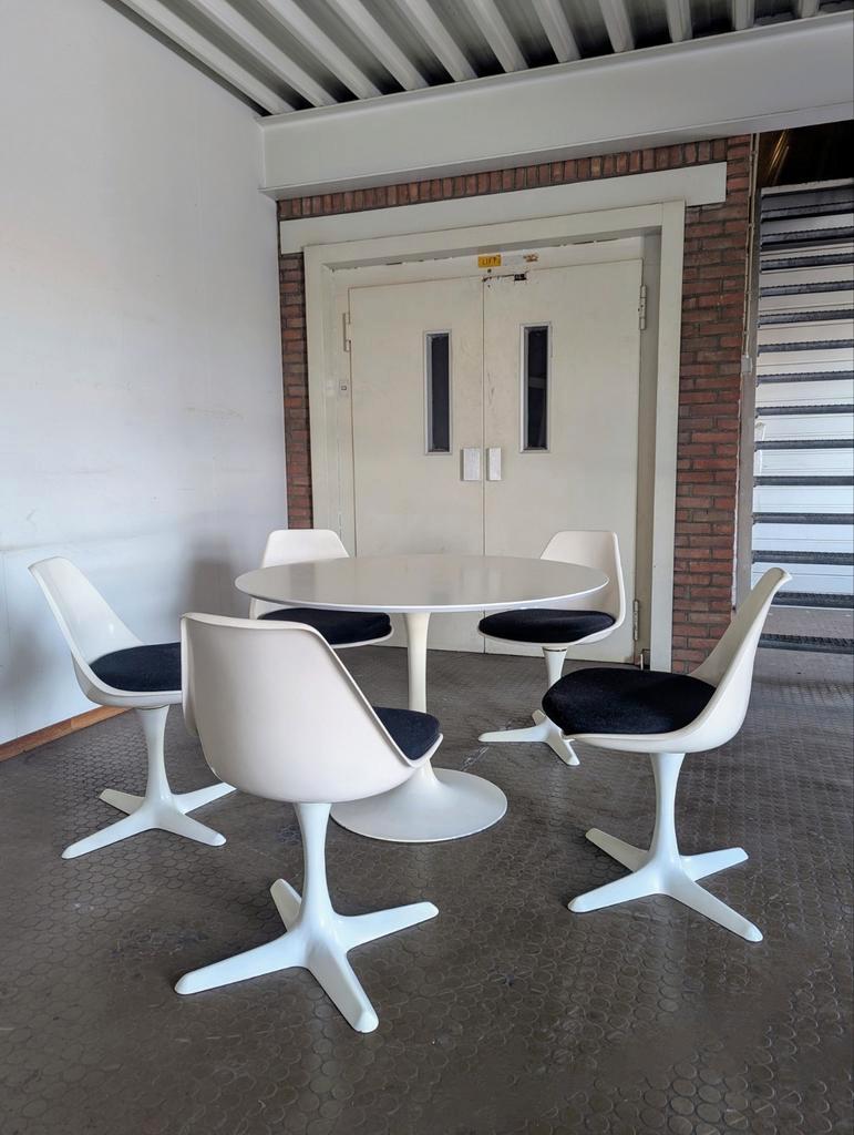 5 Vintage Arkana Tulipe Stoelen- Maurice Burke image 12