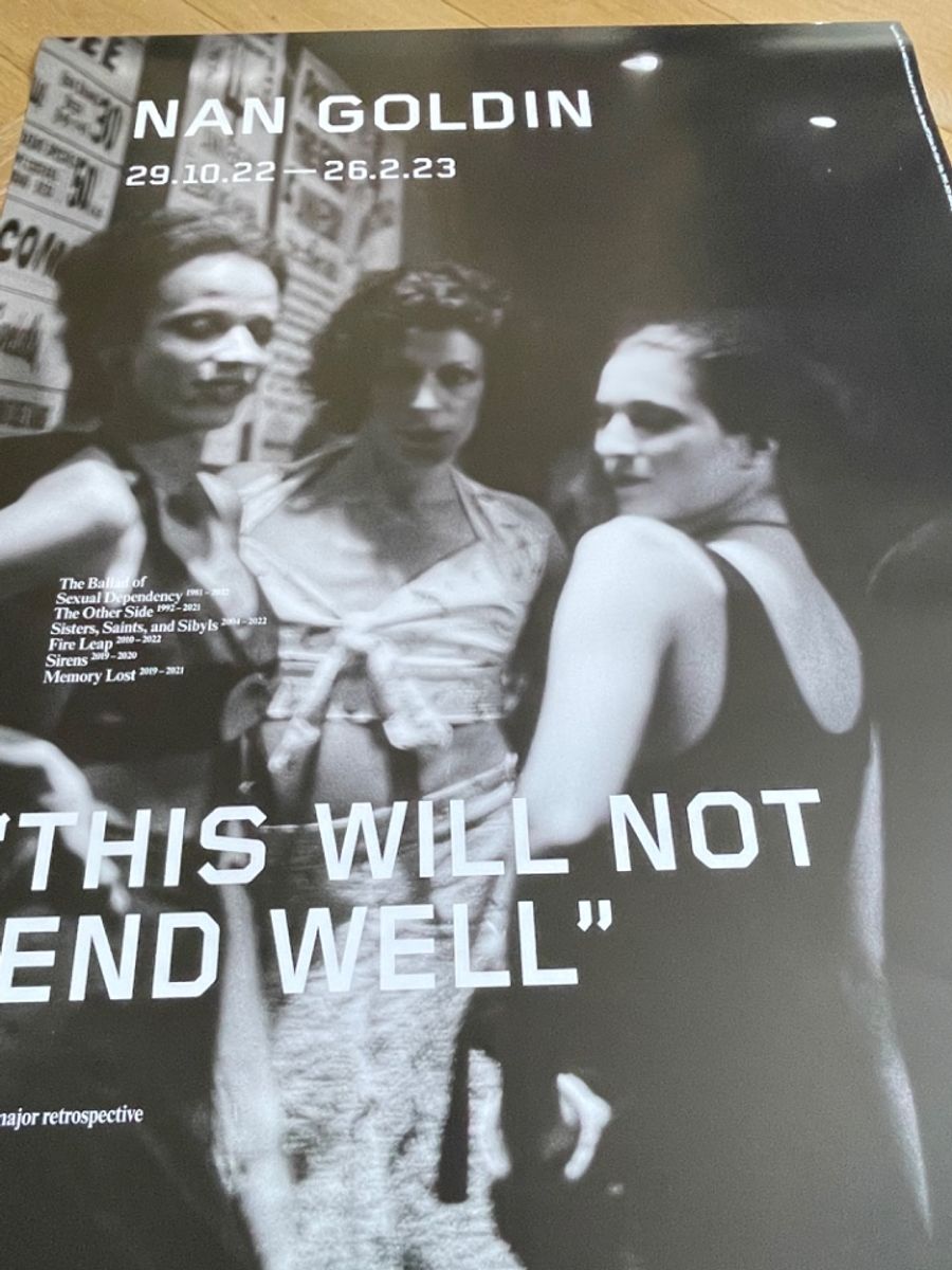 Poster Exibition “this Will Not End Well” .. image 10