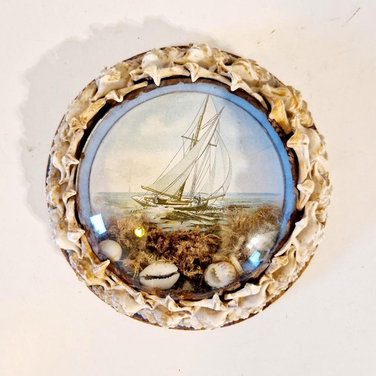 Antiek Bolglas Lijstje Maritiem Schelpen Schilderijtje image 2