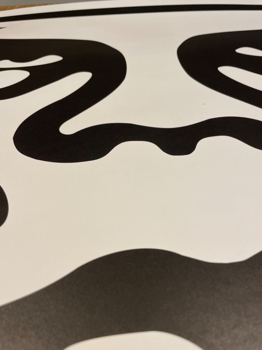 Shepard Fairey Obey Amsterdam Icon Xxx, Signed And Dated By Artist image 8