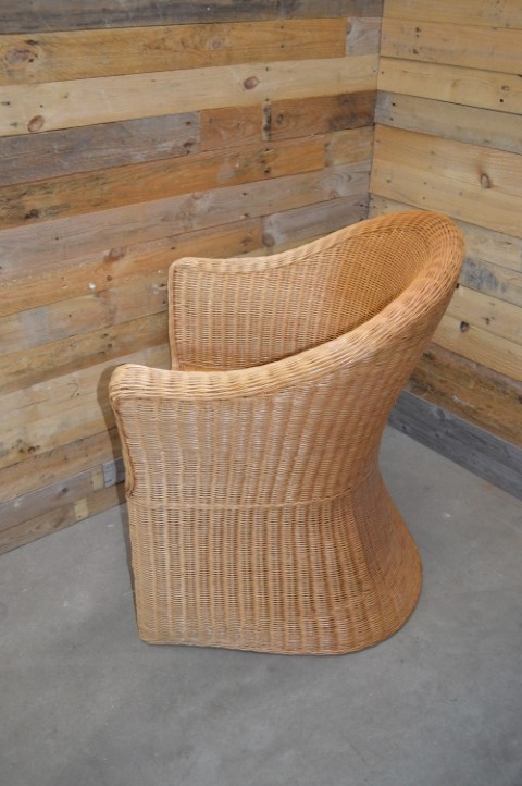 Rotan Armfauteuil image 7