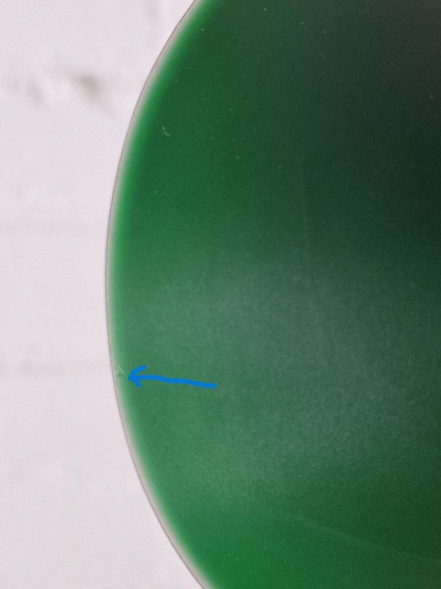 Pola Design Vloerlamp Groen image 14