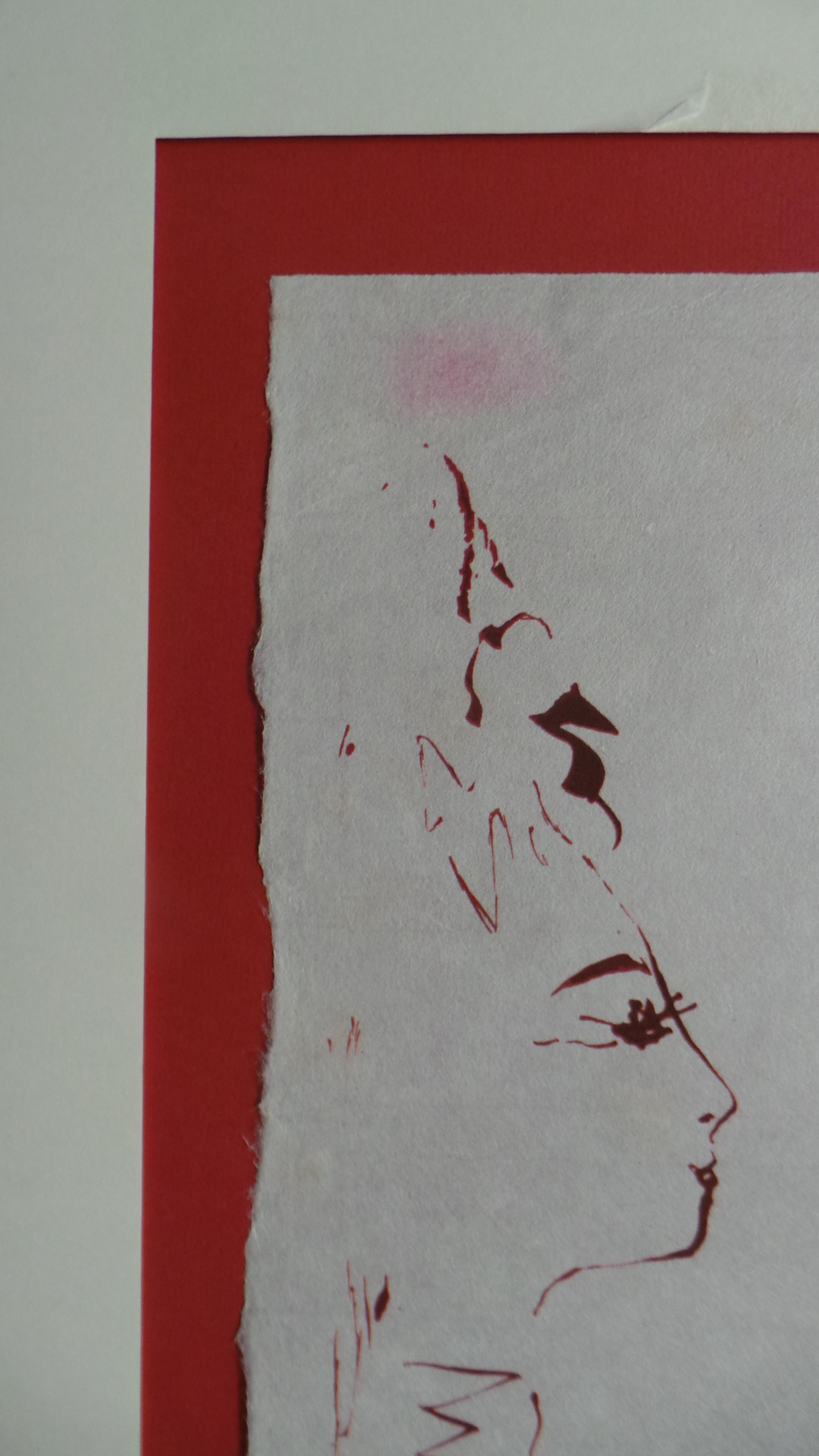 Picador image 4