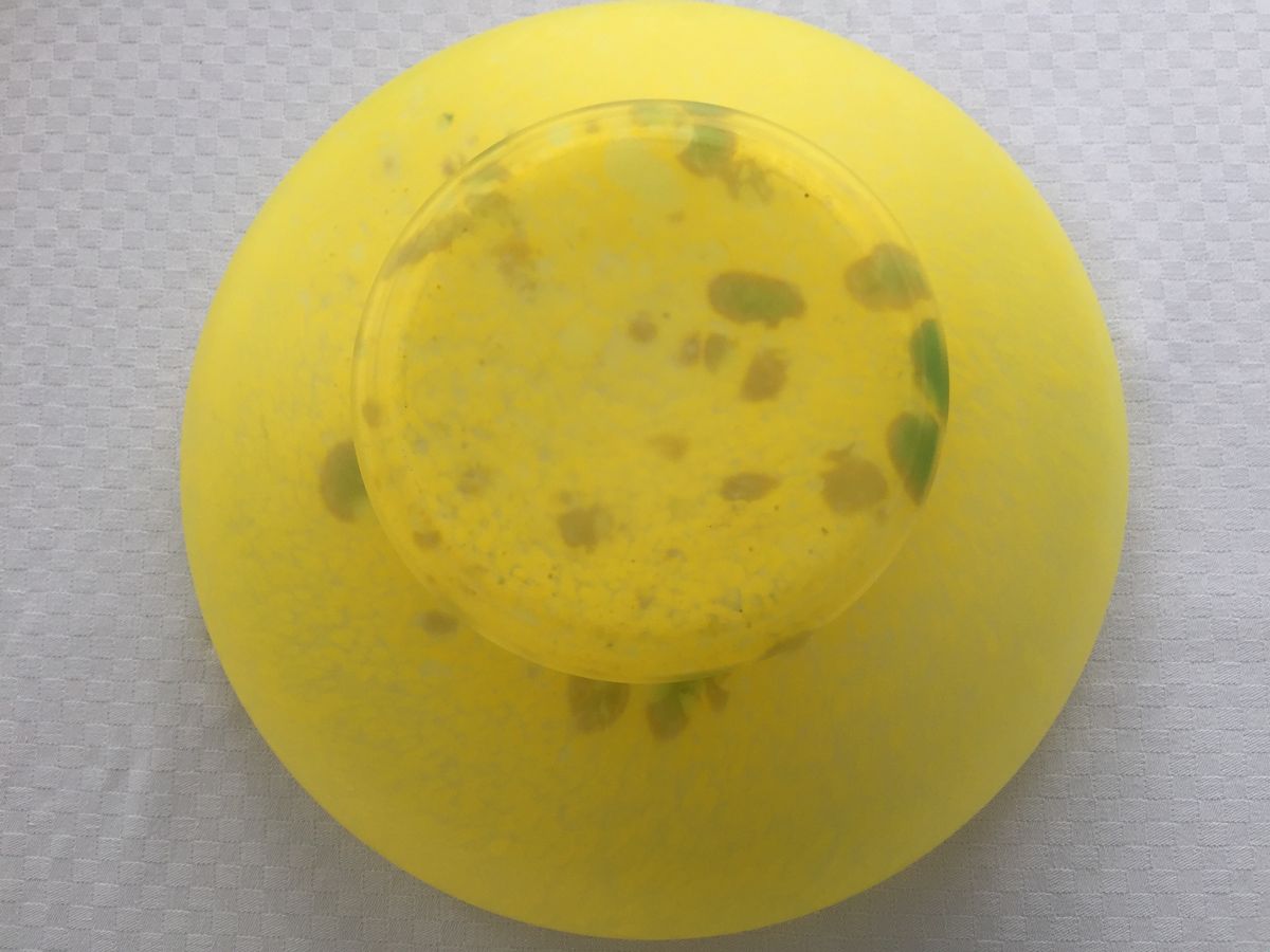 Glaspasta Ronde Schaal Op Voet. image 6