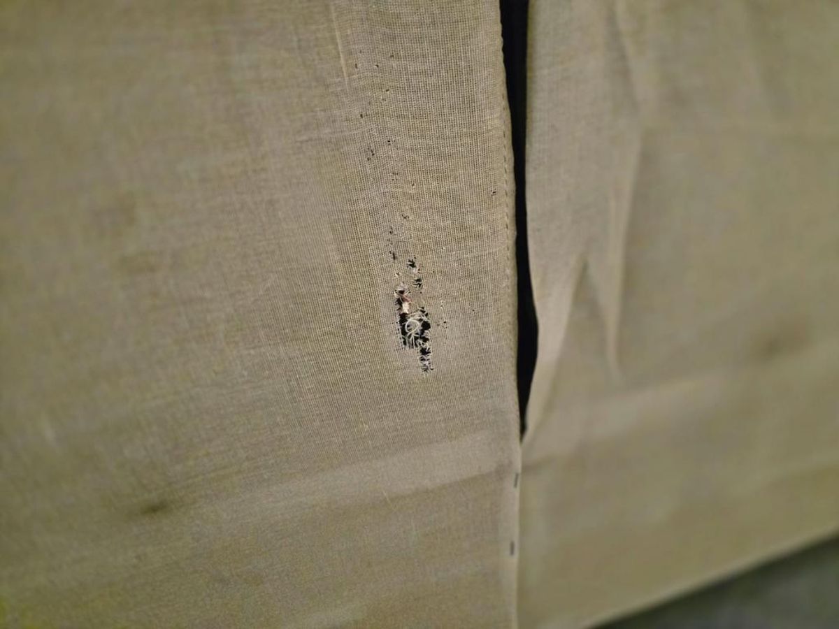 Vintage Uitklapbare Slaapbank /daybed / Tweezit image 13