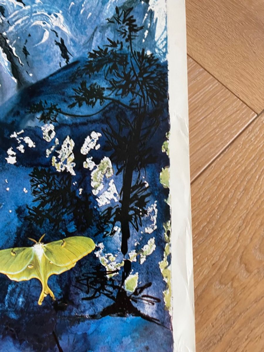 Salvador Dali (1904-1989), Chemins De Fer Francais (alpes), 1969 image 5