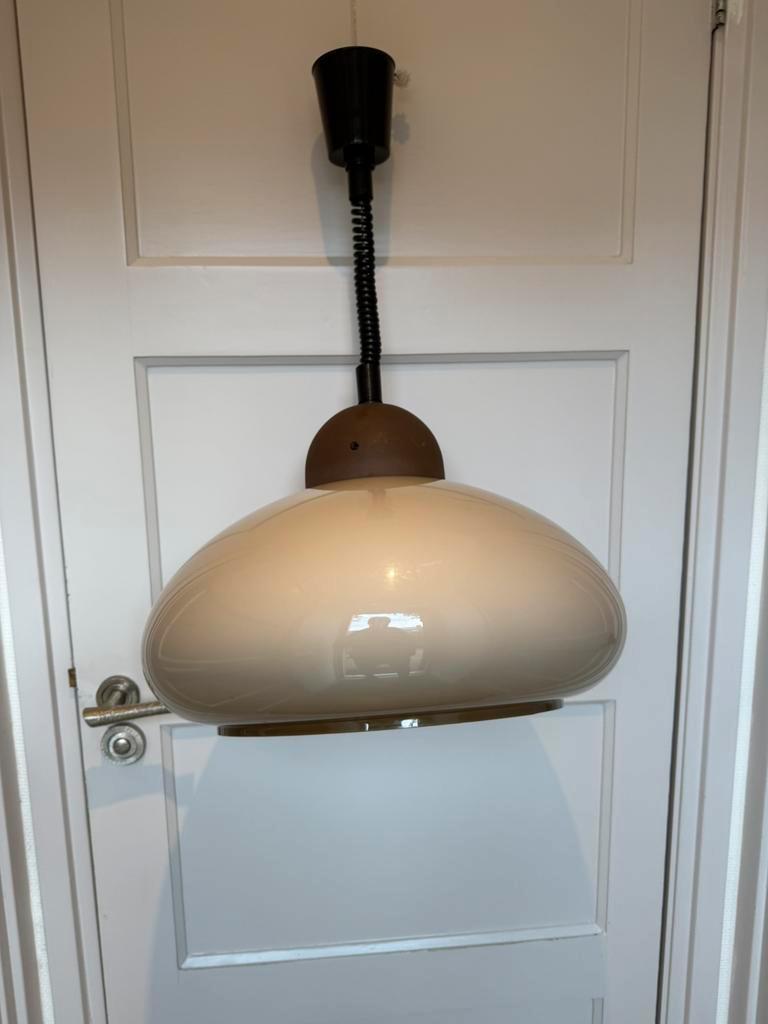 Mushroom Hanglamp Trekpendel Van Dijkstra, Jaren 70 image 6